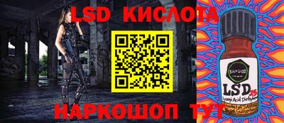 скорость Камышлов