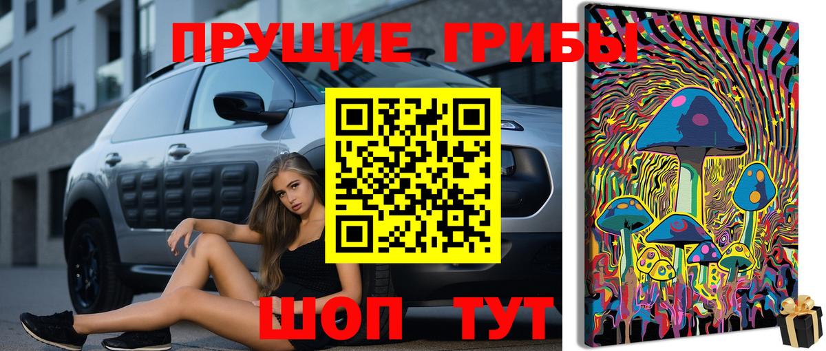 Туймазы  Псилоцибиновые грибы Psilocybe  Галлюциногенные грибы Cubensis  Вход с VPN 